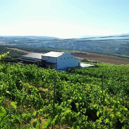 Ferienwohnung Bodegas Morosanto La Cimada Exterior foto