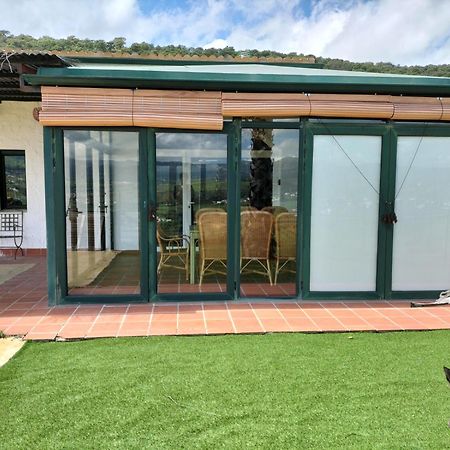 Ferienwohnung Bodegas Morosanto La Cimada Exterior foto