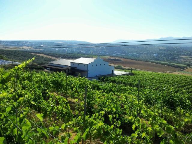 Ferienwohnung Bodegas Morosanto La Cimada Exterior foto