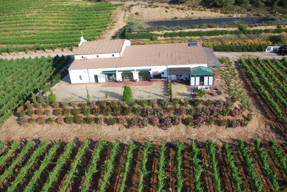 Ferienwohnung Bodegas Morosanto La Cimada Exterior foto
