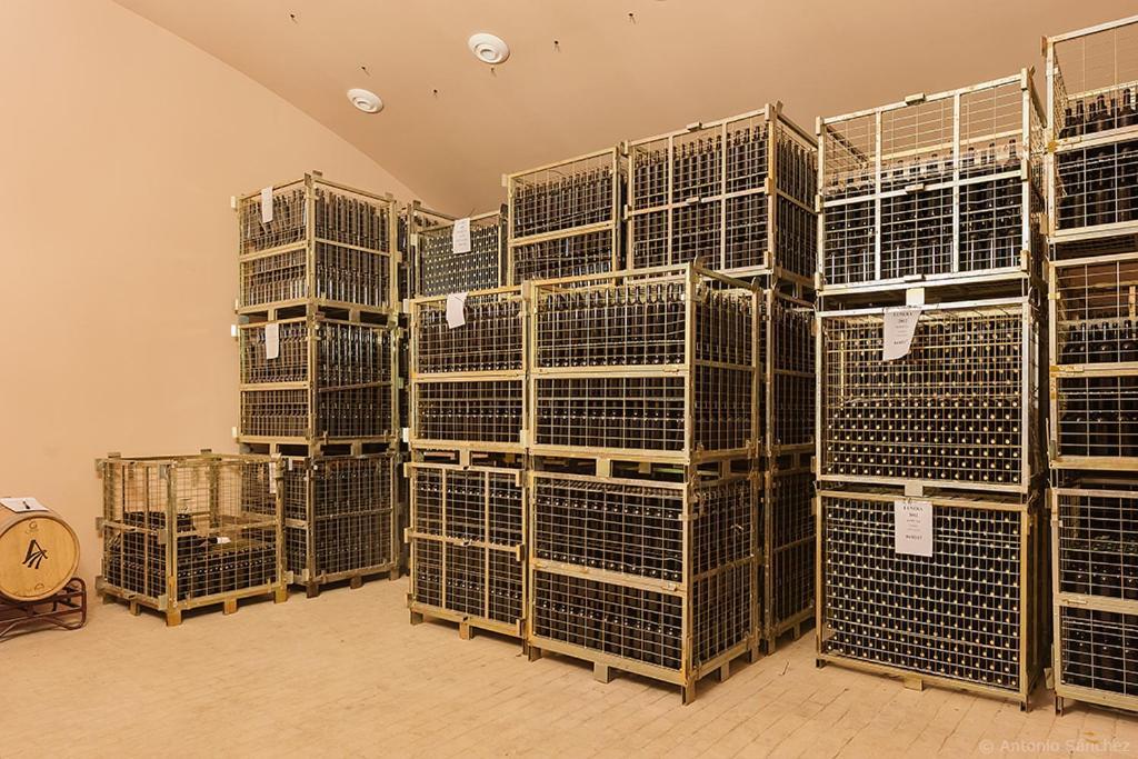 Ferienwohnung Bodegas Morosanto La Cimada Exterior foto