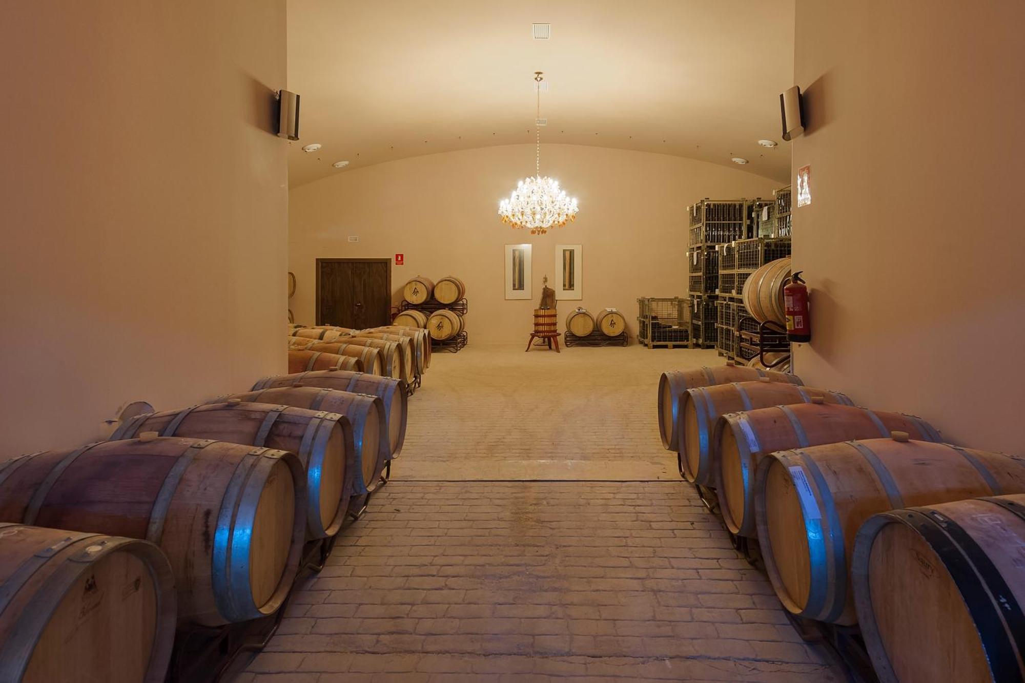 Ferienwohnung Bodegas Morosanto La Cimada Exterior foto