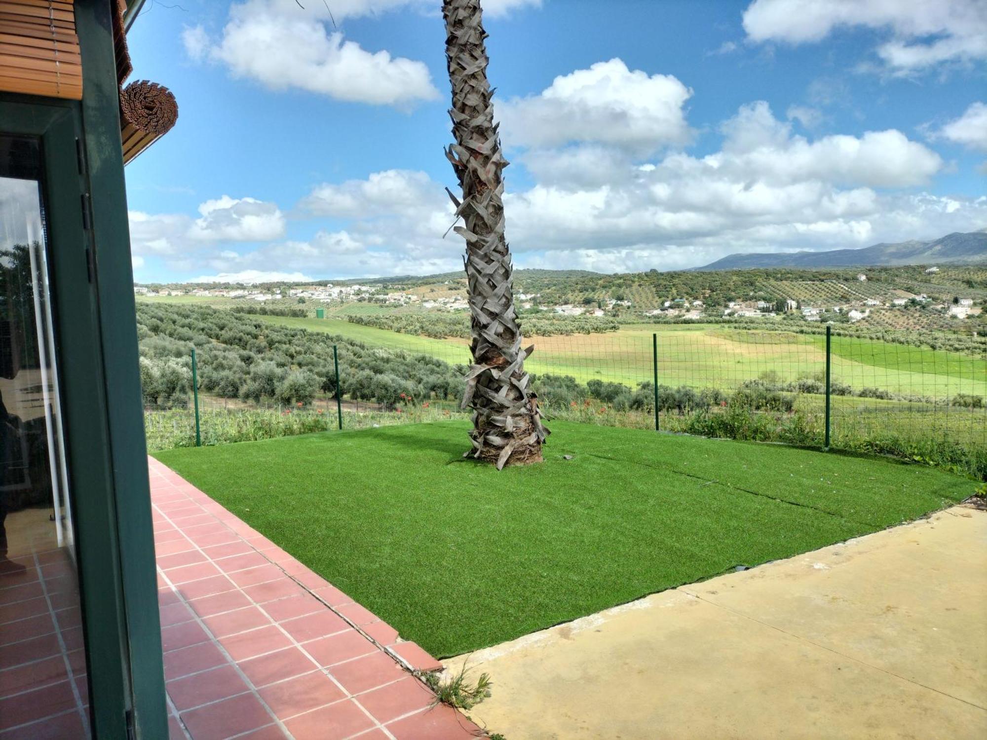 Ferienwohnung Bodegas Morosanto La Cimada Exterior foto